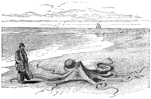 Octopus and man strolling on beach