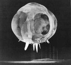 Nuclear fireball with 'rope tricks' from nuclearweaponarchive.org
