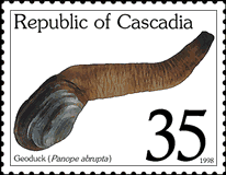 Geoduck Stamp